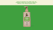 Cool Fresh Aloe Lotion - Clean Home Care