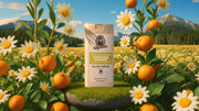 14 oz Mountain Meadow Body Wash - Forest Daily Routine