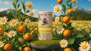 Mountain Meadow Deodorant - Bright Daily Glide