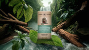 Rainforest Rapids Deodorant - Essential Clean Routine