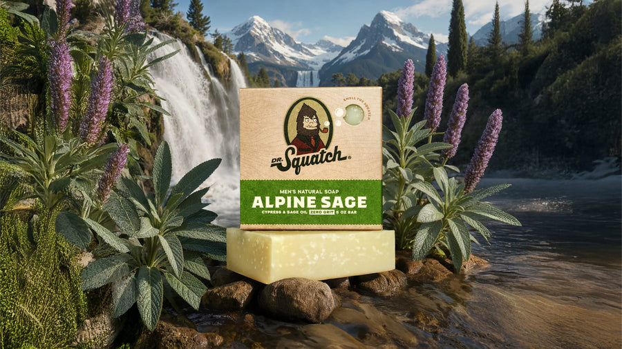 Alpine Sage - Clean Outdoor Bar