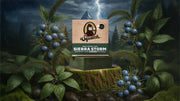 Sierra Storm - Premium Morning Routine