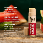 Lip Balm 4-Pack - Fresh Use