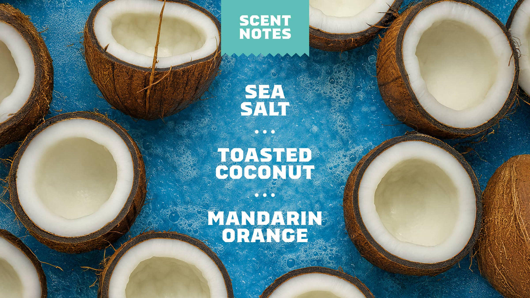Coconut Castaway Conditioner - Simple Fresh Finish