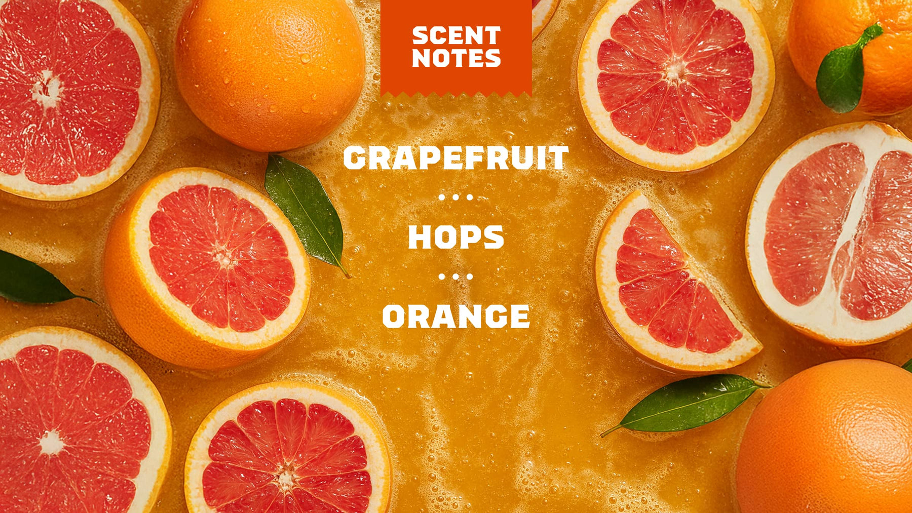 Grapefruit IPA - Clean Fresh Wash