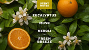 Mountain Meadow Spray Deodorant - Simple Routine