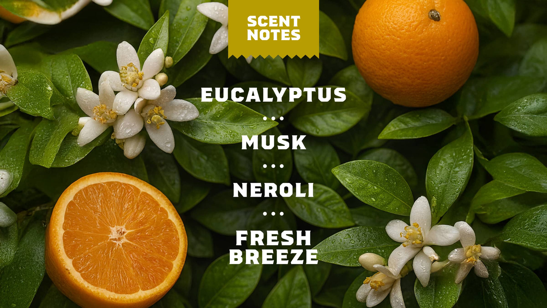 Mountain Meadow Spray Deodorant - Simple Routine