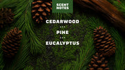 Pine Tar Exfoliating Face Wash - Bright Morning Clean