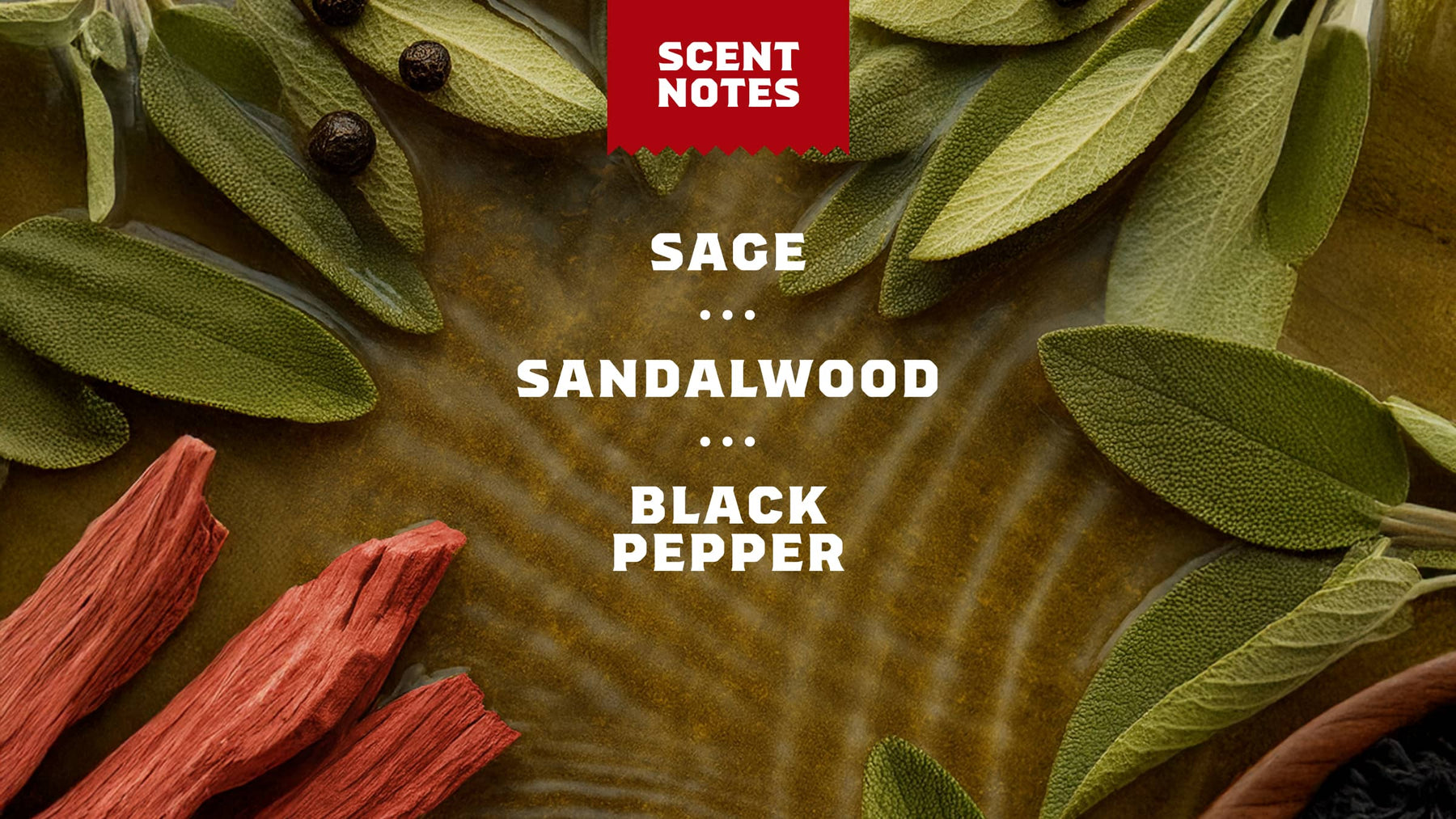 Sandalwood Summit Spray Deodorant - Modern Fresh Glide