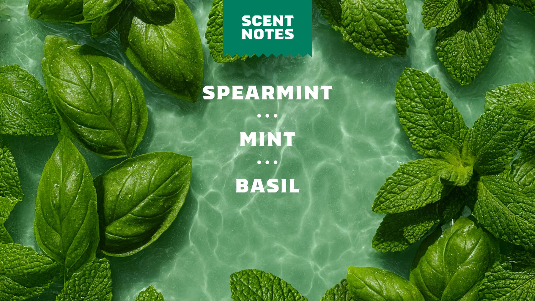 Spearmint Basil - Clean Finish