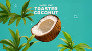 Coconut Castaway Shampoo - Thick Clean