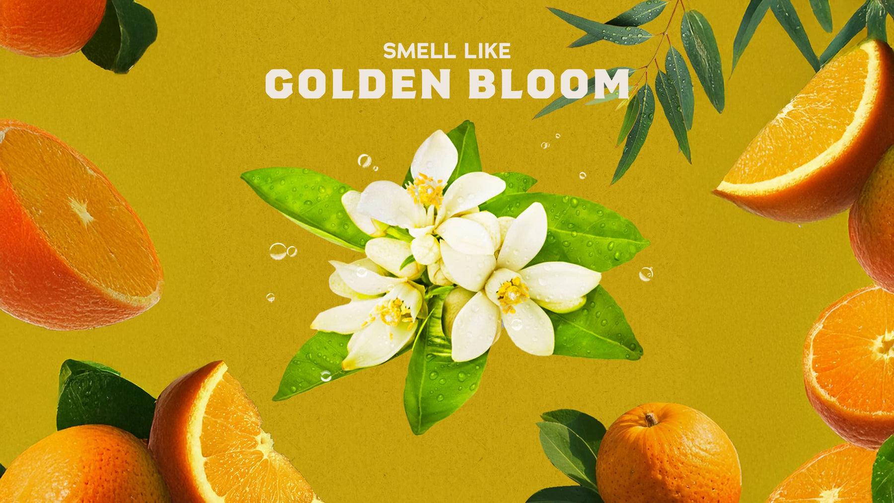 Mountain Meadow Deodorant - Bright Daily Glide