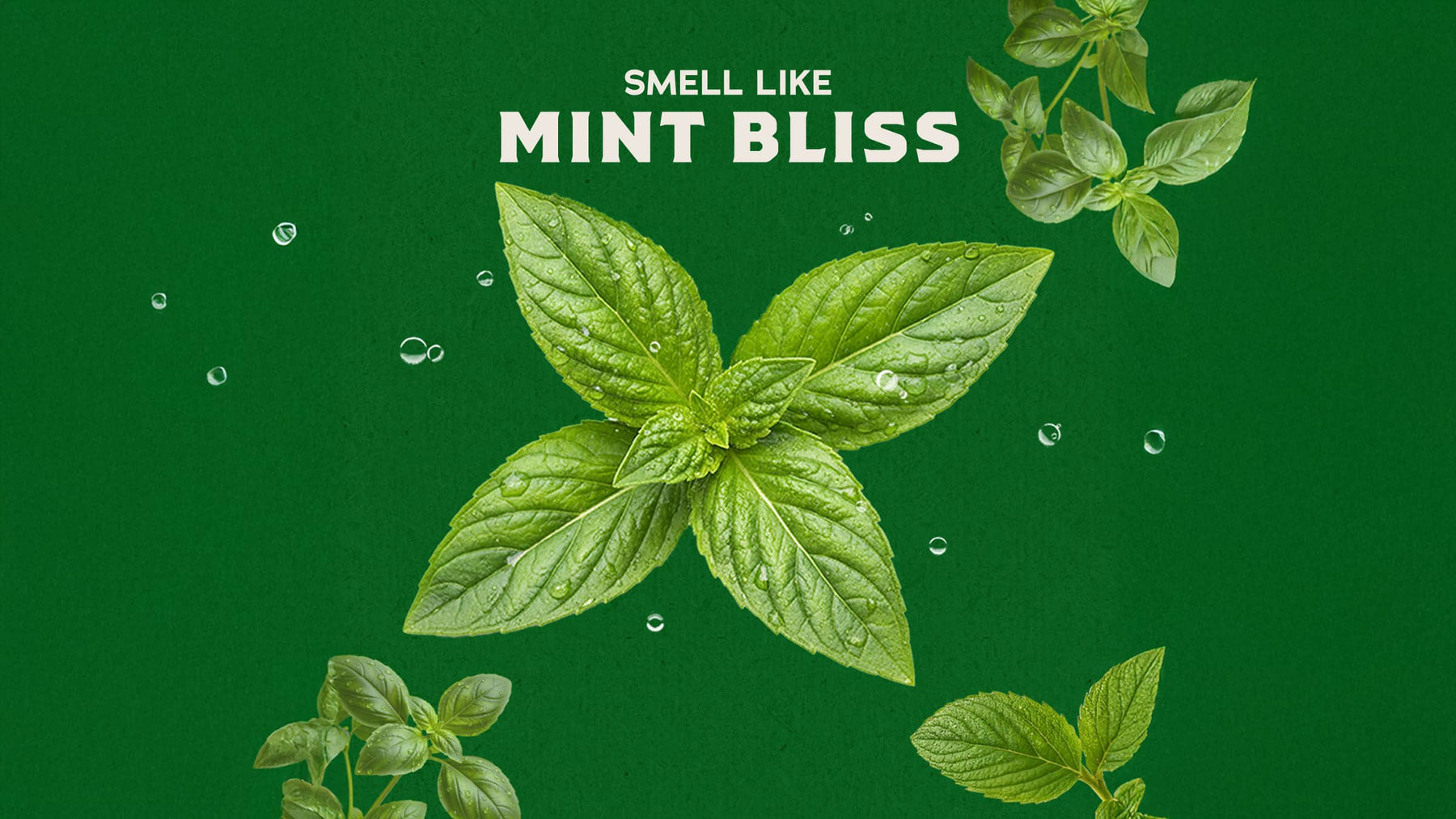 Spearmint Basil - Clean Finish
