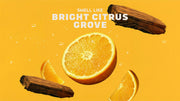 Summer Citrus Conditioner - Smooth Finish
