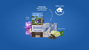 Sonic Speed Super Pack - Simple Outdoor Rotation